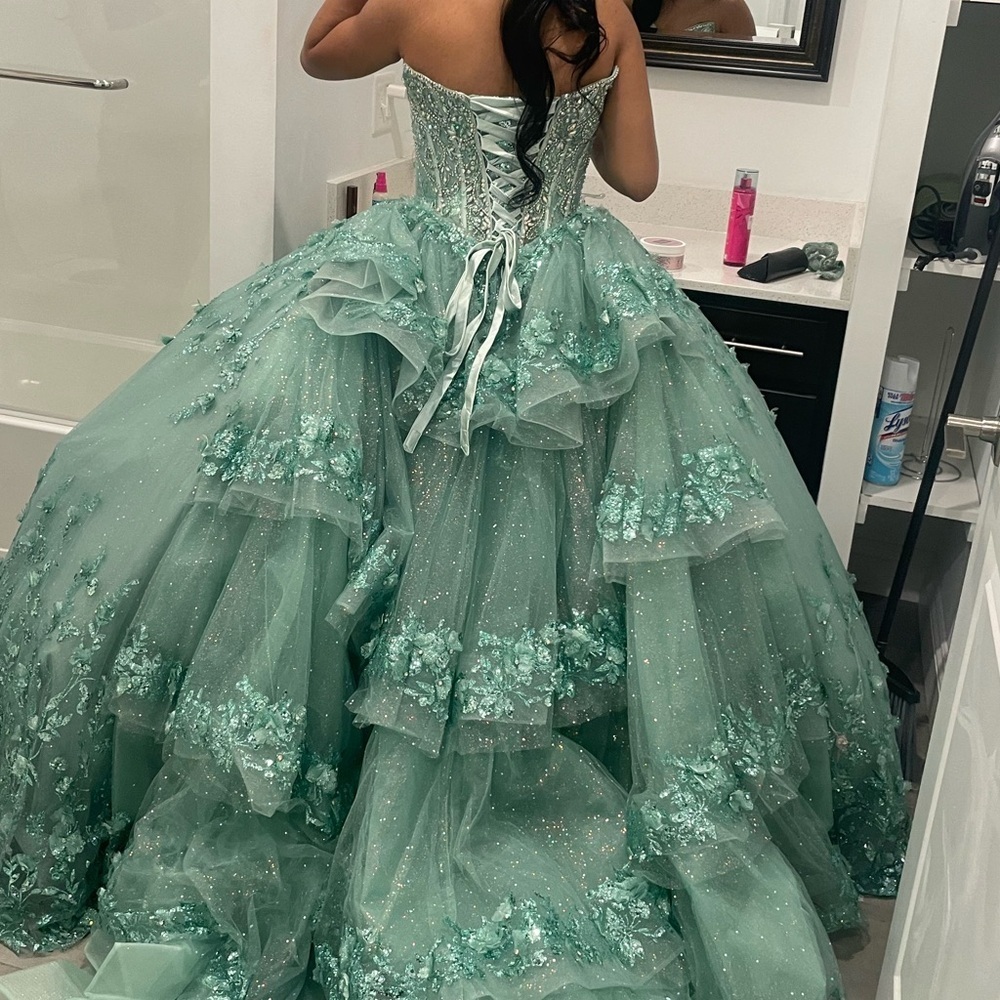 CUSTOM Sage Green  Gown w/ Floral Details Quinceanera /Sweet16/Prom Size 6-8